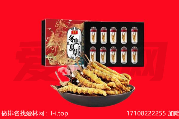 白云区回收虫草.jpg